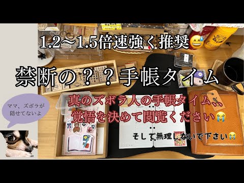 倍速推奨😭禁断の？？手帳タイム撮ってみました😅🔰開設の経緯などもほんのりおしゃべり🫶