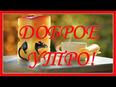 Доброе утро! Хорошего дня! Пожелание С Добрым Утром!