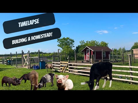 TIMELAPSE | Building A Homestead