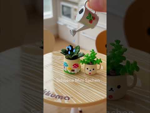 Re-Ment Cutest Mini Magic Plant🪴✨ #rement #miniature #minitoys #minitoy #rilakkuma #miniatures