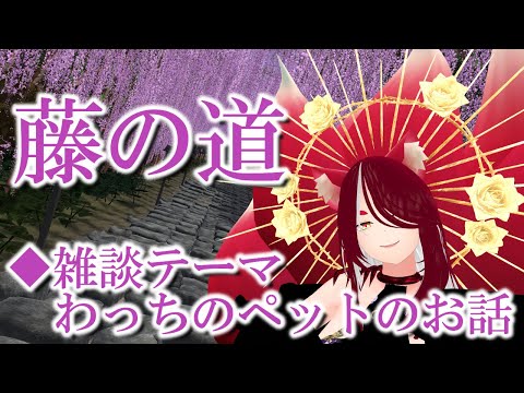 【VRChat/ワールド紹介】わっちのペットのお話：VRSNS探訪 Vol.211【異世界妖狐Vtuberミレハ】