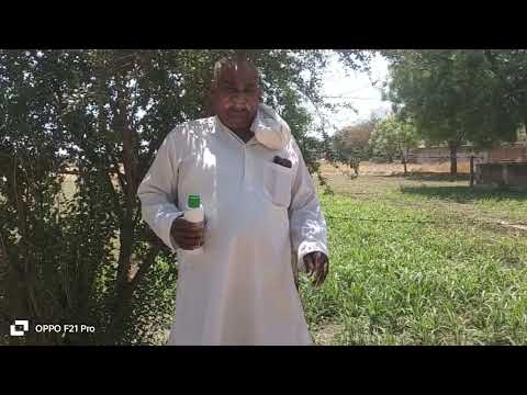 088 Farmer from Mathura | Uttar Pradesh | Nano Urea Testimonial