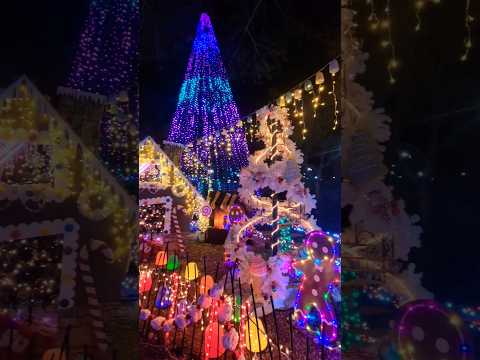 Magical Forest at Opportunity Village #christmaslights #lasvegas  #lasvegasattractions