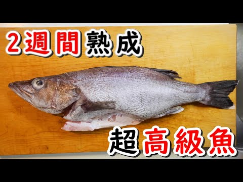 超高級魚で作る1皿1万円の刺身盛り　2週間熟成本アラ捌き方と刺身の盛り付け方