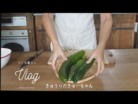 Japanese style pickled cucumber