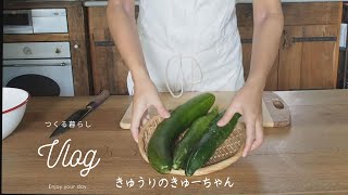 SUB/Vlog/オバケきゅうりできゅうりのきゅーちゃん/自然に暮らすこと 料理