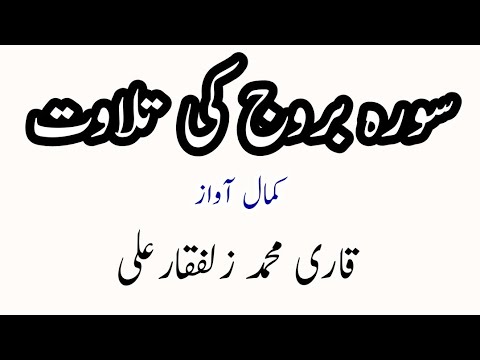 Quran Pak Ki Tilawat||Tilawat e Quran e Pak||Tilawat Quran||Qari Muhammad Zulfiqar Ali Saeedi Habib