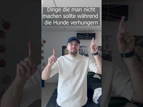 Dinge die man nicht machen sollte, wenn die Hunde hunger haben #shorts #comedy