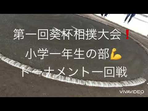 【わんぱく相撲】第1回葵杯相撲大会😃小学1年生トーナメント💪2021.3.28(日)【葵相撲道場】