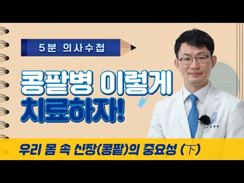 [5분 의사수첩] 콩팥병 이렇게 치료하자! 우리 몸 속 신장(콩팥)의 중요성 (下)