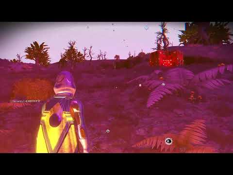 No Man's Sky & Chill