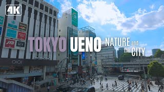 Stroll in Ueno, Tokyo: from Ameyoko to Ueno Park_4K D-Log 10bit