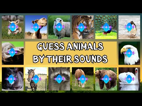 Animals Sounds Quiz Challenge | Guess Animals Names by Sounds They Make