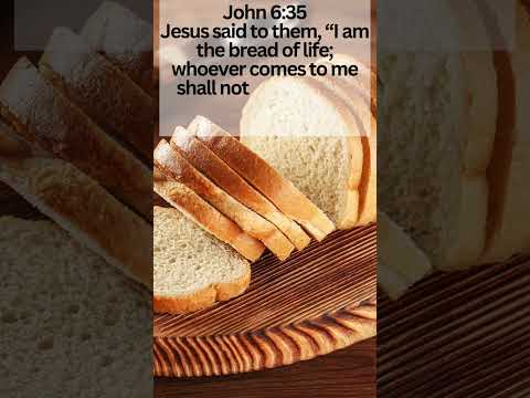 John 6:35