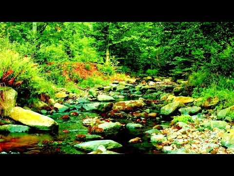 Nature Sleeping Music | Flowing Water