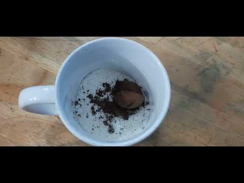 Mug Cake In 3 Minutes | yummy and Softy Cake Recipe | Rama's Yummy Kitchen