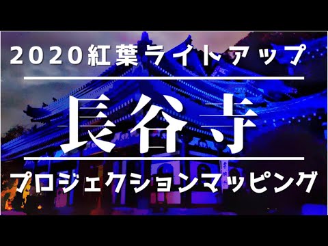 長谷寺プロジェクションマッピング　2020鎌倉紅葉ライトアップ