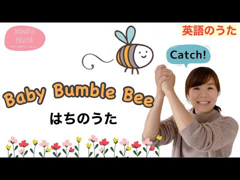 【英語のうた】Baby Bumble Bee はちのうた