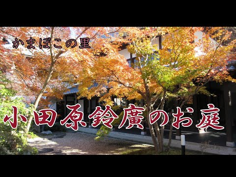 小田原鈴廣でおでん稲荷セットを食べて紅葉の庭を散策