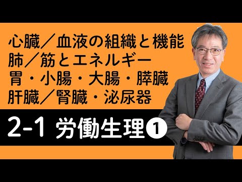 【労働生理①】心臓、血液の組織と機能、肺、筋とエネルギー、胃・小腸・大腸・膵臓、肝臓、腎臓・泌尿器について村中先生がやさしく解説！