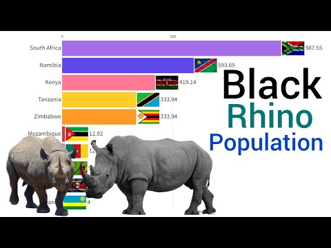 World's Largest Black Rhino Population Country 1980 - 2023