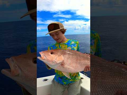 TROPHY RED SNAPPER. HIS FIRST FISH EVER