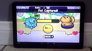 Pico Pets: Discolored Rolloo Vs. (Boss Level) Felinx