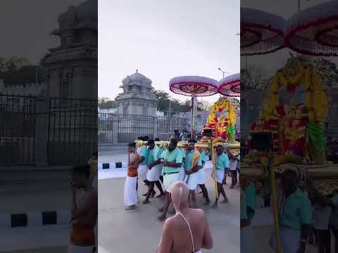 #TTD #tirumala #tirupatibalaji #andhrapradesh #balajistatus #newvideo