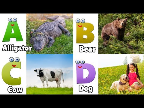 Animals ABC Song | Animals Alphabet Song | Alphabet Letters | Phonics for Kids