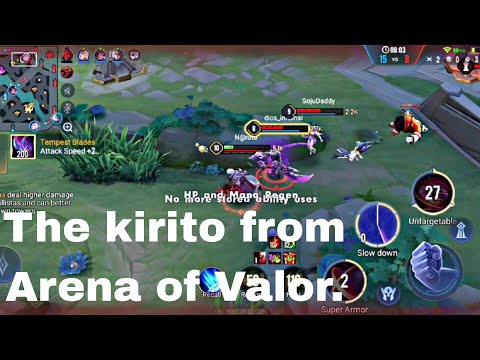 The kirito from Arena of Valor ( Allain).