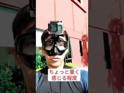 Goproをマスクに装着する器具レビュー#shorts #gopro #ダイビング