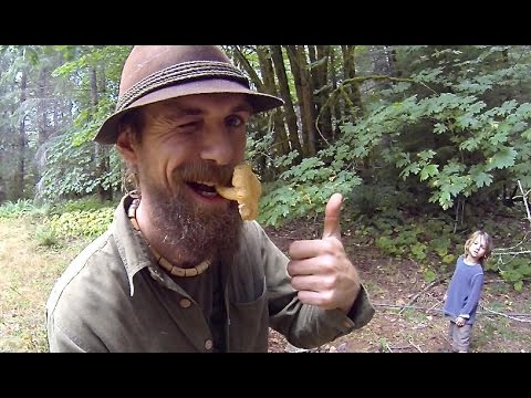 Chanterelle - The Golden Mushroom Treasure Hunt With Yarrow Willard