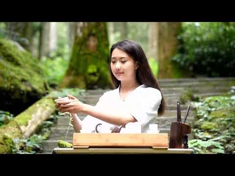 阿里山四季茶旅-夏戀森林茶會 宣傳片-Alishan Tea Festival In Four Seasons