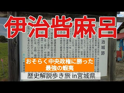 【伊治呰麻呂】おそらく中央政権に勝った、最強の蝦夷