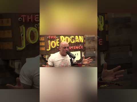 Joe Rogan and Elon Musk talk about P. Diddy #joerogan #elonmusk #pdiddy #viral #fyp #shorts