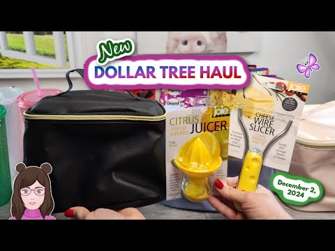 Awesome DOLLAR TREE HAUL!  New Finds!! December 2, 2024