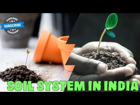 SOIL SYSTEM IN INDIA |NCERT BASED ONE-LINERS|  EXPLAINED #NCERT #EXAMS #SSC