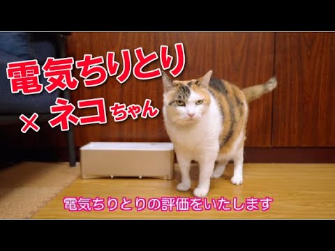 【デーンキチリトリ♪】ドキドキ‥‼ネコちゃんに電気ちりとりを評価してもらいました(=^・^=)