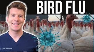 Doctor explains Bird Flu (Avian Flu H5N1) | Causes, symptoms, treatment