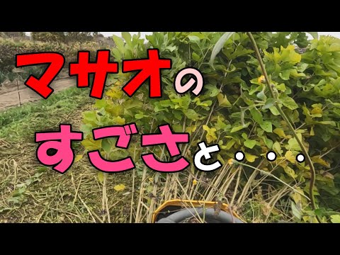 【Hey MASAO】マサオのすごさと・・・