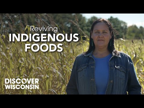 Healing Traditions: Reviving Indigenous Foods with Wild Bearies