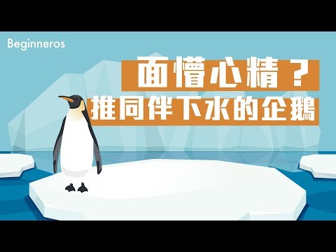 【冷知識】面懵心精？推同伴下水的企鵝｜Beginneros