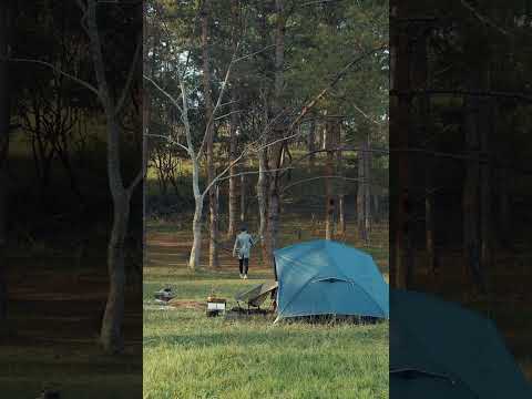 Campinglife, Relaxing ,camping