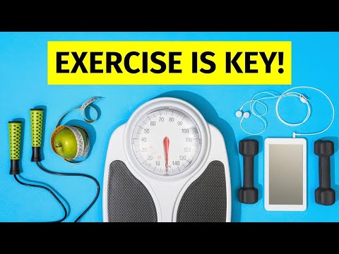 Diet vs Exercise for Weight and Fat Loss