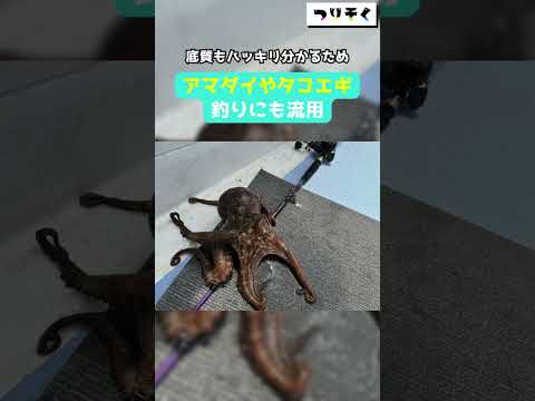 【万能】釣種の枠を超え過ぎ！「アルファソニック ディープシーカー」