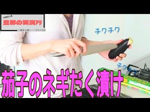 汁まで飲みたい！/なすの作り置きおかず/レンチン料理/簡単レシピ【料理実況】