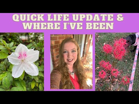 Quick life update and where I've been