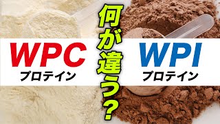 【🔰初心者】WPCプロテインとWPIプロテインの違いを解説【ビーレジェンド プロテイン】