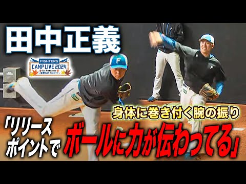 田中正義ブルペン投球 力感なく鋭い球を投げ込むフォームに大絶賛＜11/8ファイターズ秋季キャンプ2024＞