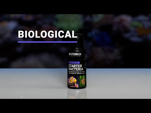 Biological Supplement for Saltwater and Freshwater Aquariums.